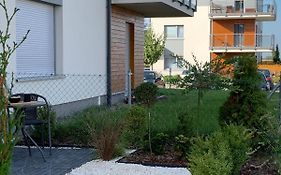 Tarnovia Loft Apartment